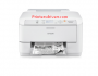 Epson Scan Driver WorkForce Pro WF-M5194 For Window and Mac